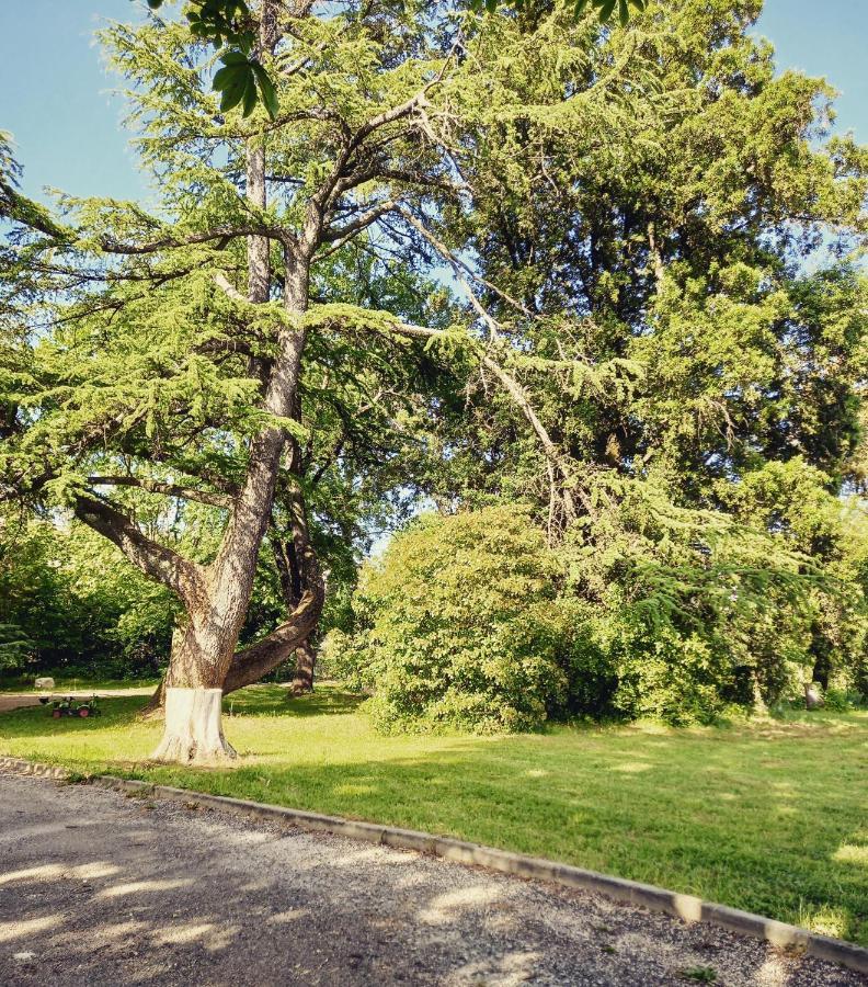 מלון סנט-אמברואה Chateau De Fabiargues מראה חיצוני תמונה